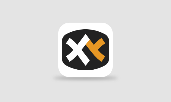 多标签文件资源管理器 XYplorer v26.70.0300 绿色便携版